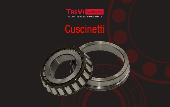 cuscinetti Trevi